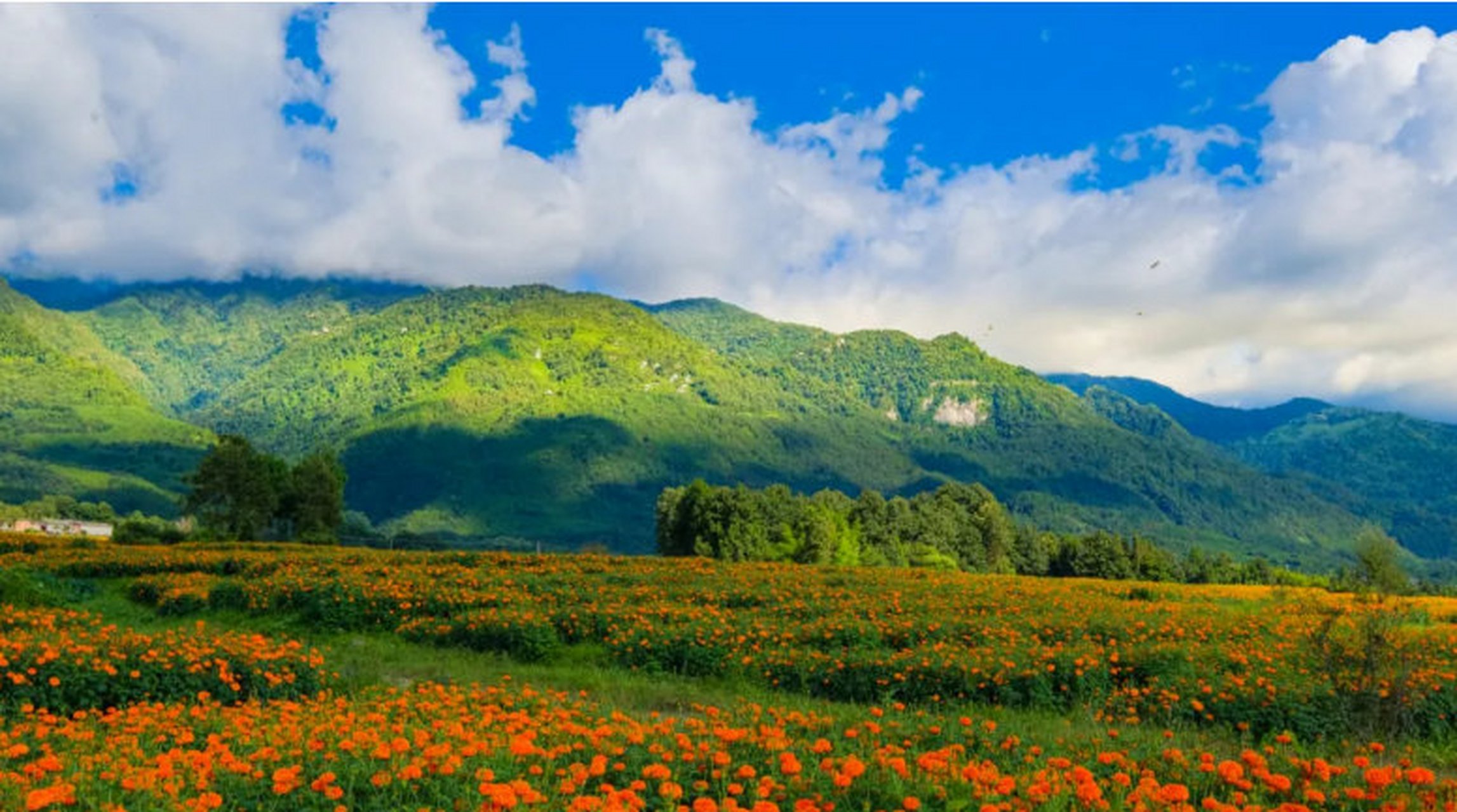 腾冲旅游【腾冲秘境游丨探秘境,寻美食,高黎贡山下的花园盆地