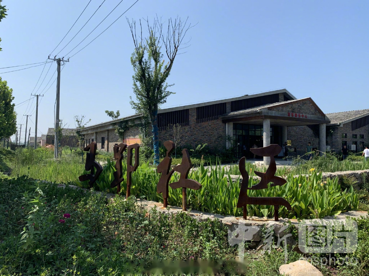 【探访安徽长丰县马郢社区的幸福"计划"——创客入村打造美丽田园综合