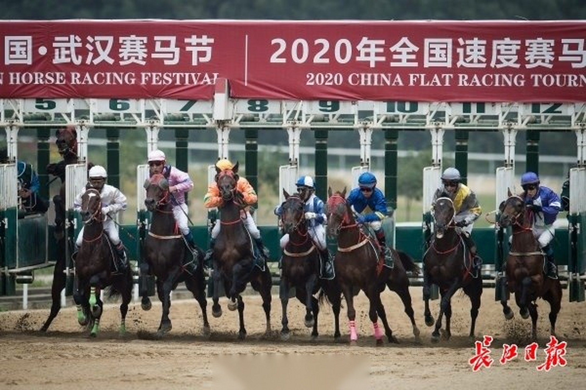 【第十八屆中國·武漢賽馬節盛大開幕,東方馬城戰火重燃!