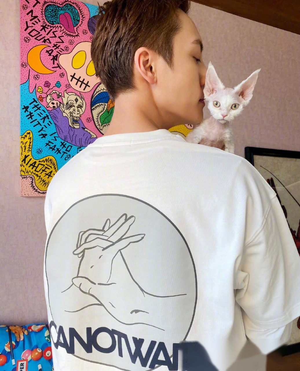 陈伟霆隔离结束晒猫,出关啦,有猫啦,藏不住的开心!