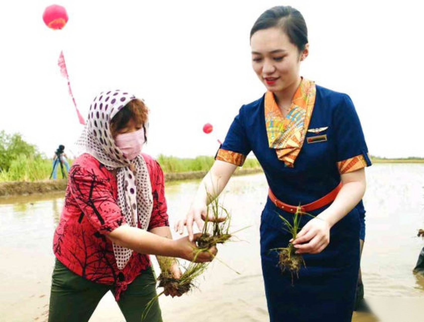 航空公司回应】6月5日,青岛航空的空姐空少身穿制服,下地插秧引发热议
