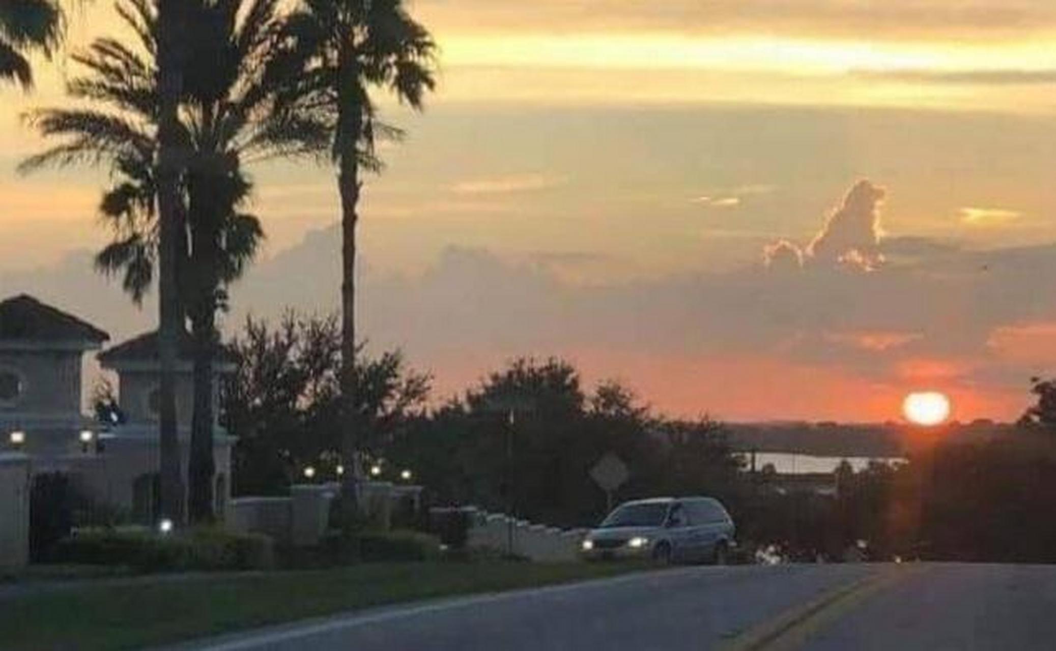 想看大家拍的狗狗云