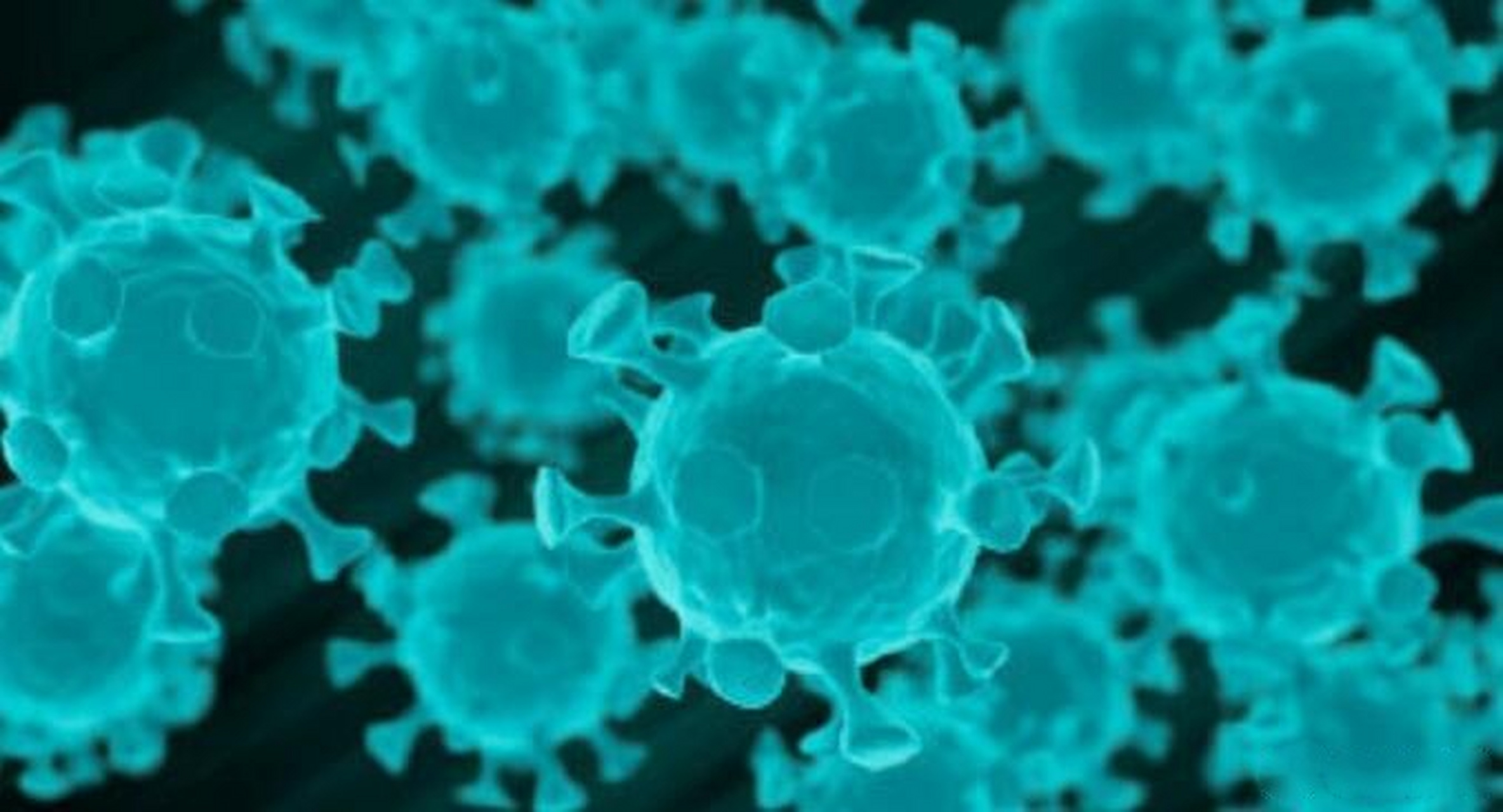 【加拿大首现罕见猪流感病例 是甲型流感病毒(h1n2)的变种】当地时间