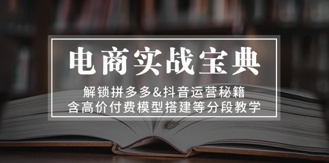 老陶电商实战宝典 解锁拼多多&抖音运营秘籍 含高价付费模型搭建等分段教学