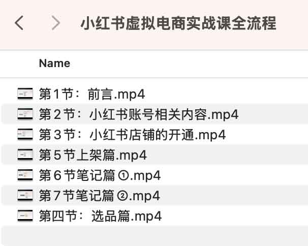 小红书怎么推广引流？ 小红书虚拟电商实战课 liuliushe123.com六六社 第2张