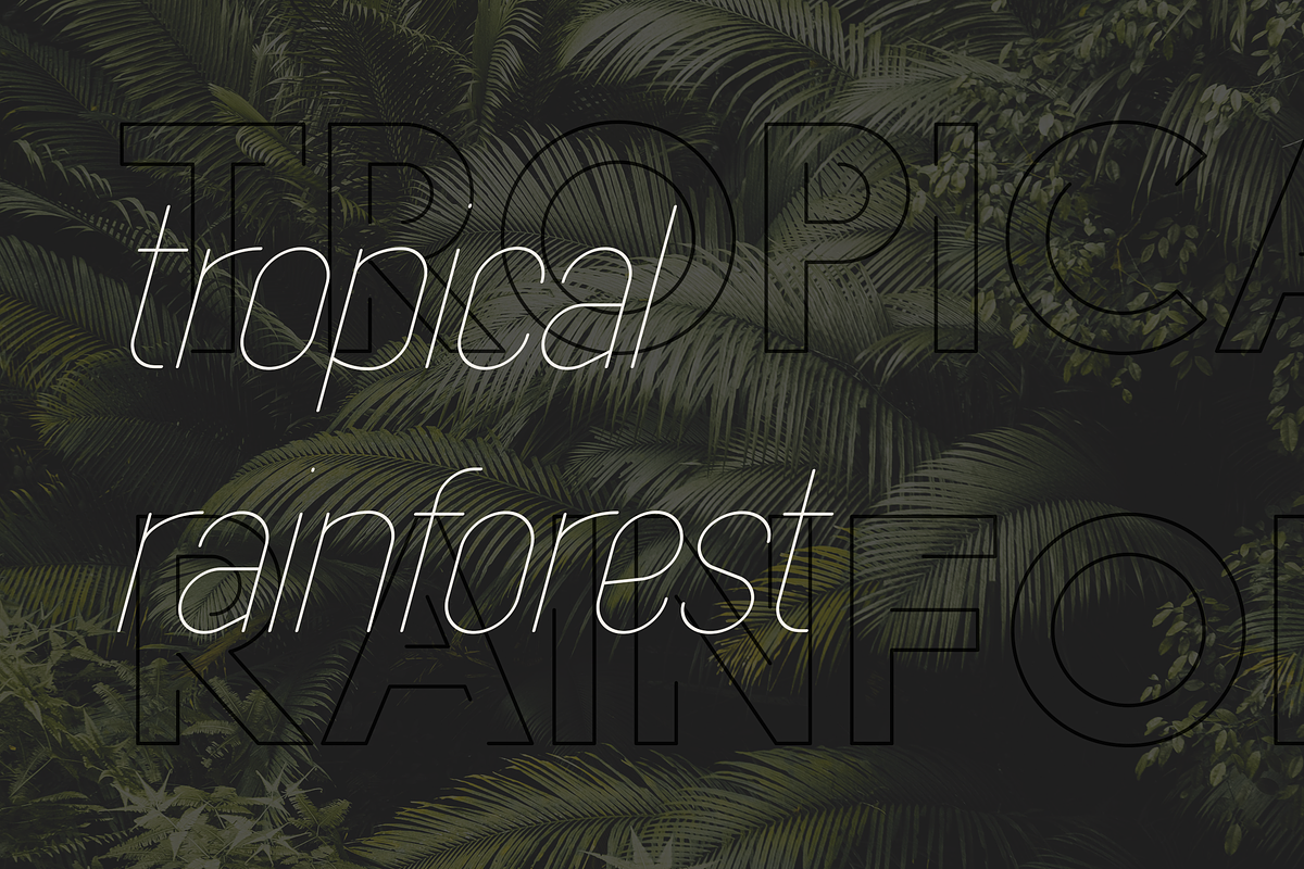 Azora Font Family-3.png