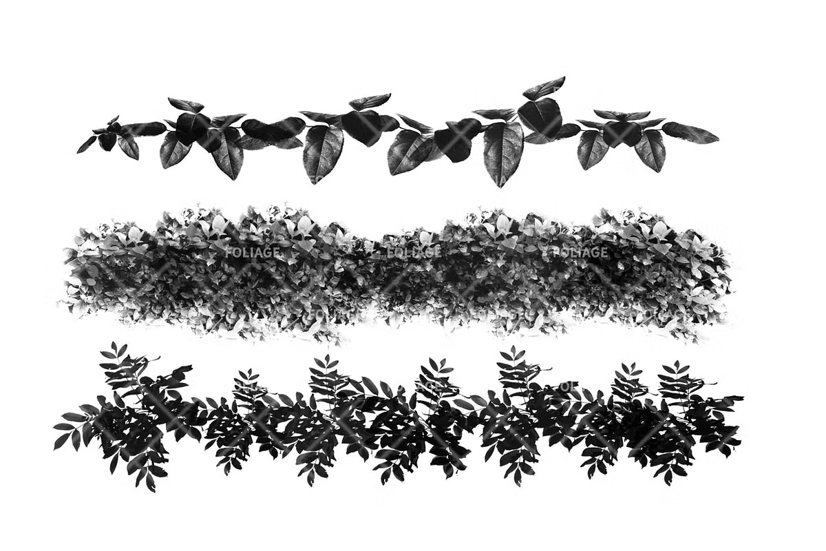 Foliage brush set-1.jpg