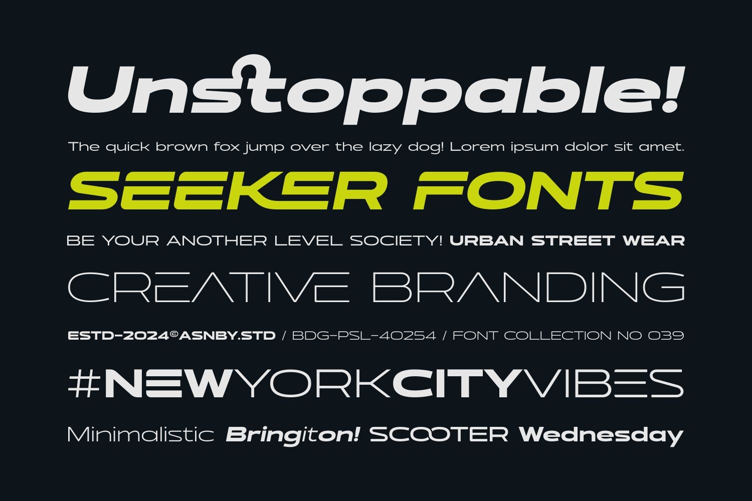 Seeker Font Family-7.jpg