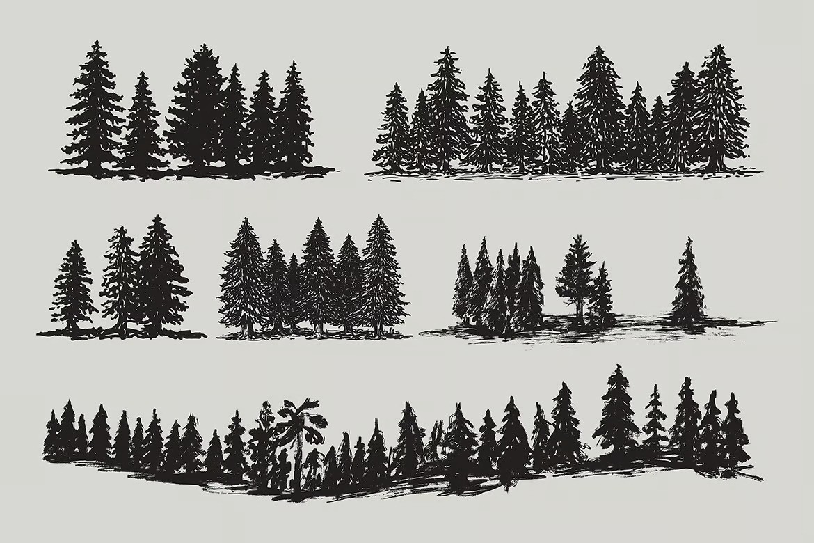 Mountain forest hand-drawn elements-3.jpg