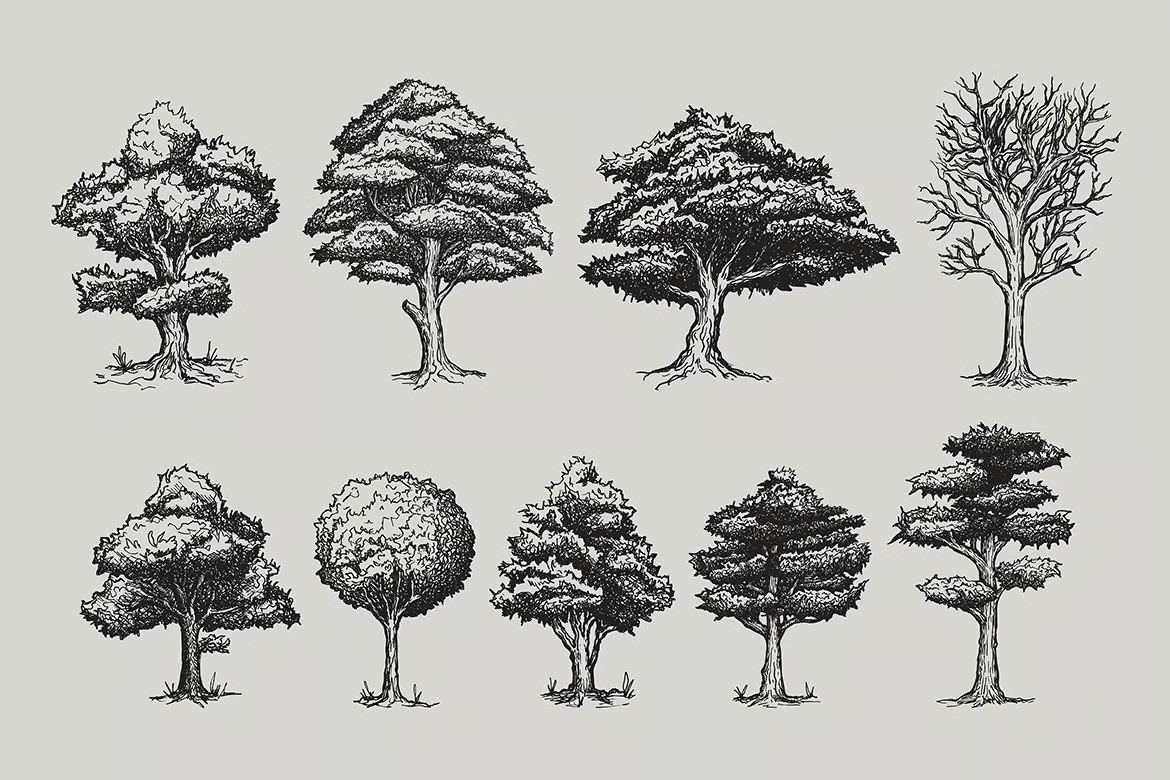 Mountain forest hand-drawn elements-7.jpg