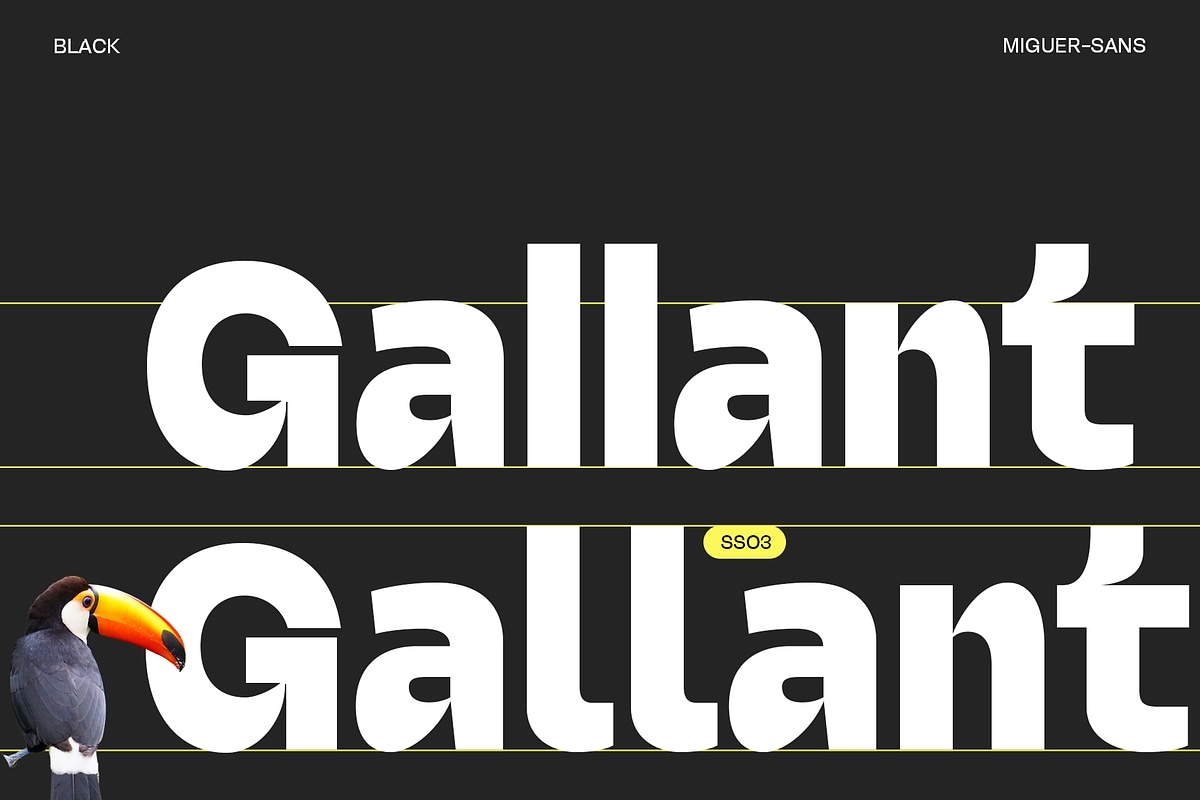 Miguer Sans Font Family-7.jpg