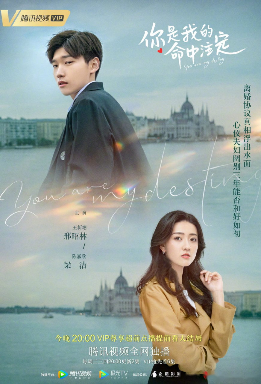 你是我的命中注定#  "离婚协议真相浮出水面,心仪夫妇阔别三年能否