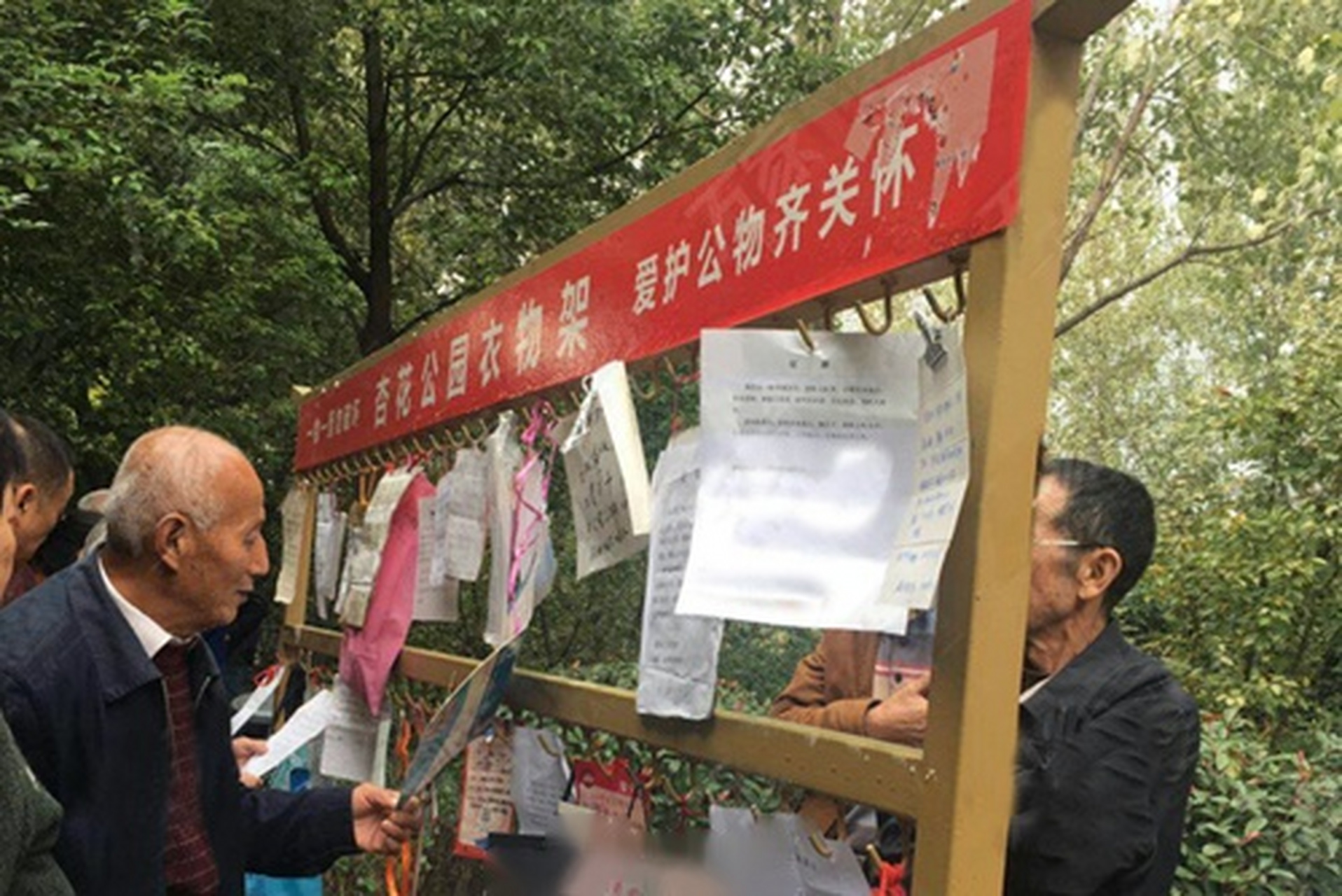 【探访合肥杏花公园相亲角:86后男生最受欢迎,起码有房有车,男秃女矮