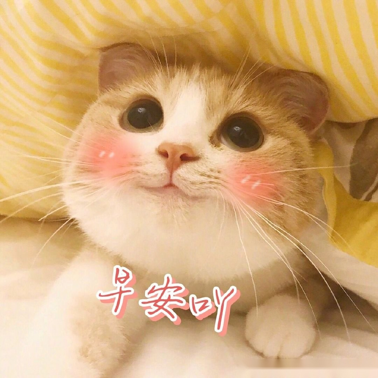 早上好# 嗨～～ 早上好呀