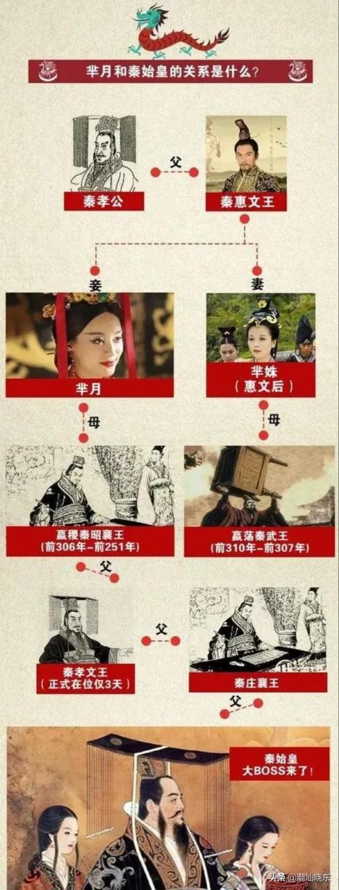 芈月其实是秦始皇的奶奶的奶奶!如果还看不懂,请看下图.