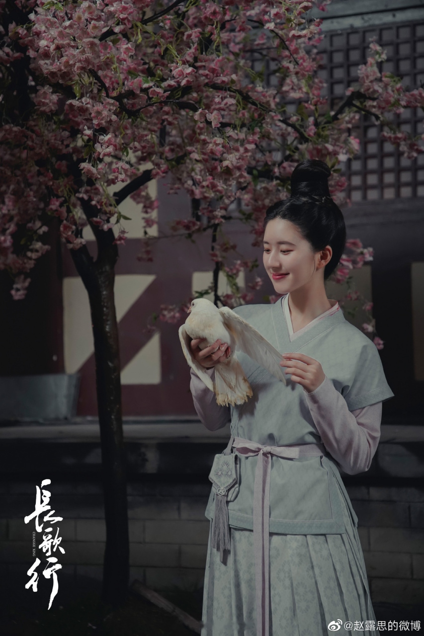 来看看95后小花赵露思还有哪些待播剧: 《我喜欢你》(搭档林雨申)