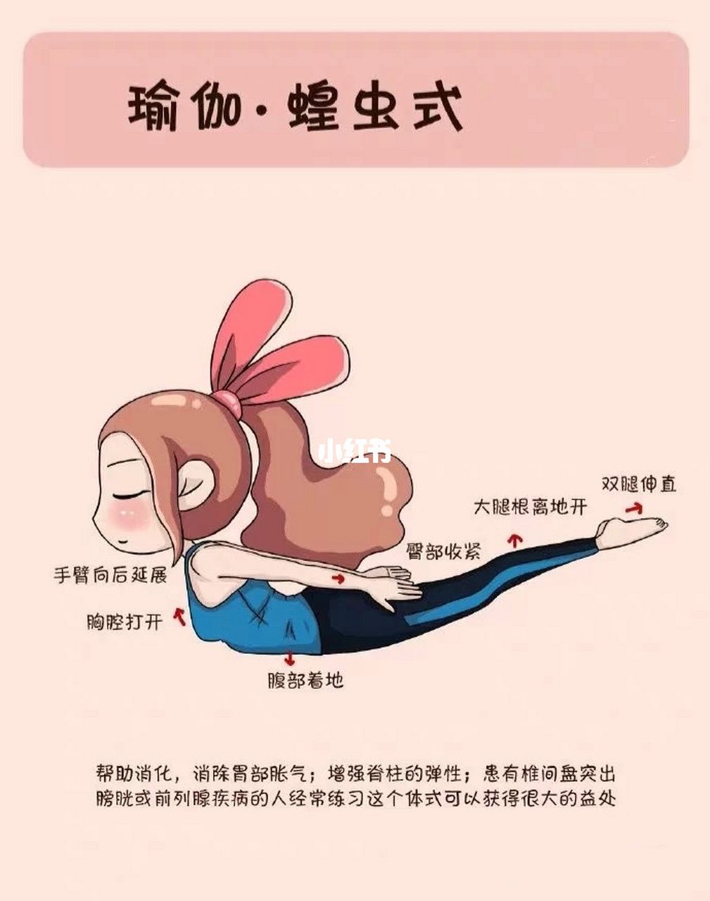 瑜伽|瑜伽龟式,韦史努式,蝗虫式