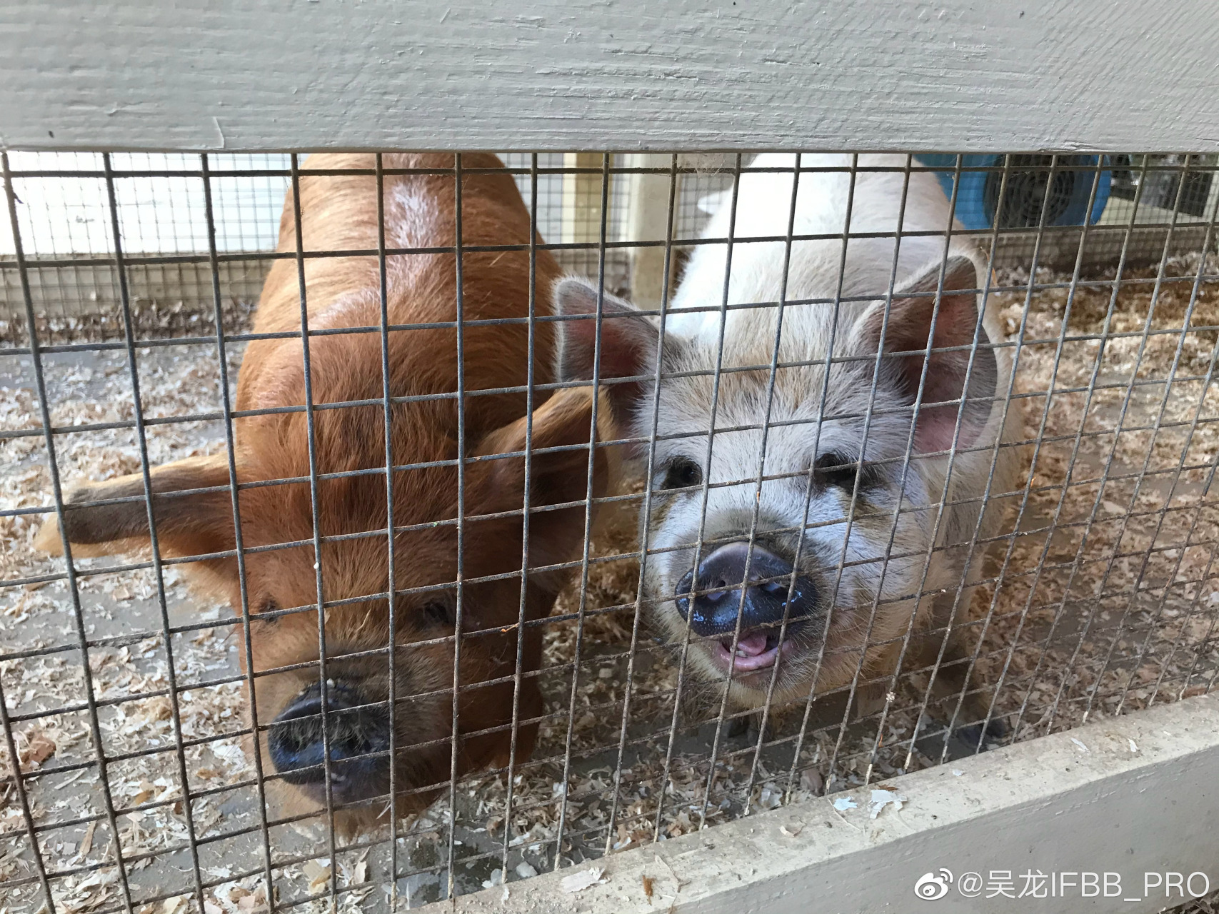 看什么看,就说你的