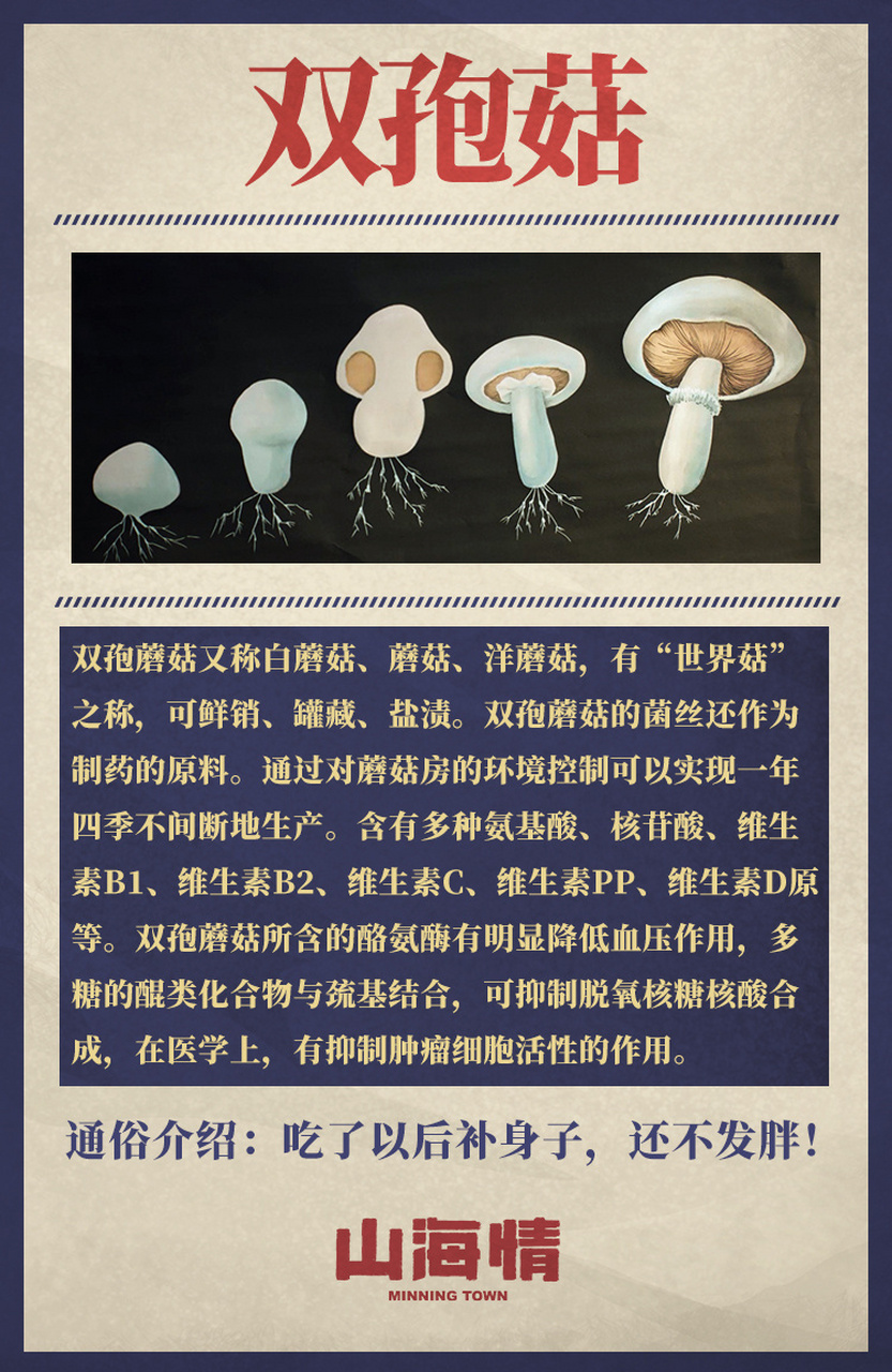 电视剧山海情#双孢菇的好处可多的咧