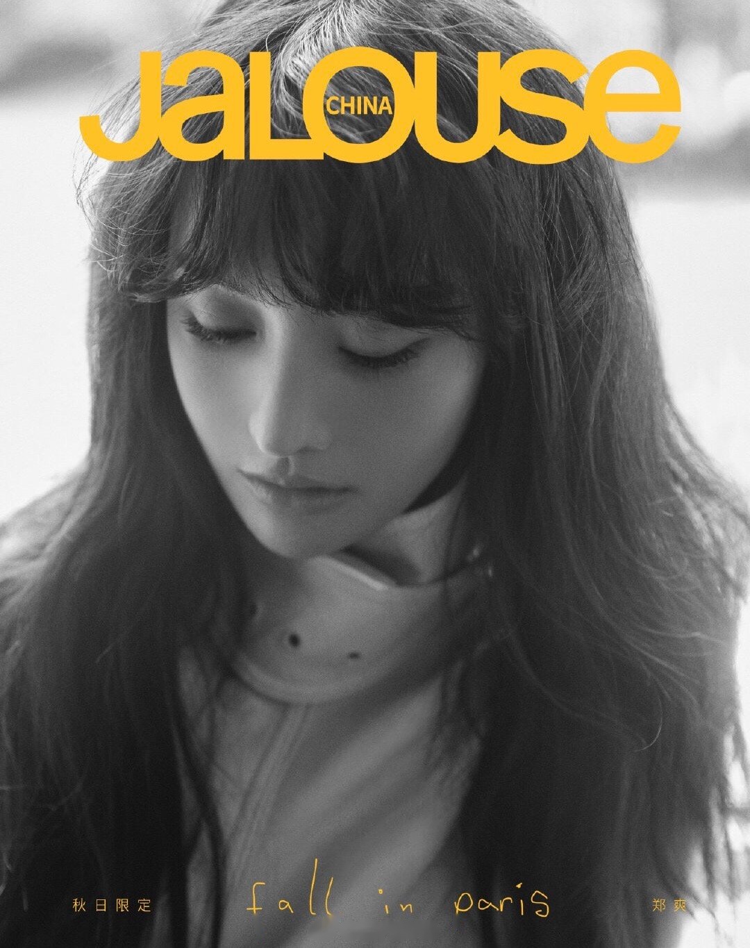 郑爽 《jalouse极度创刊》巴黎秋日限定海报,你们觉得拍的怎么样?