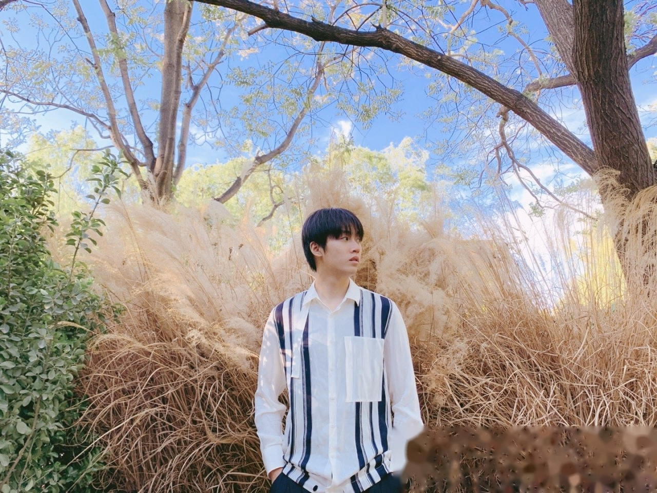 最春天的照片#天气不错刘宇航