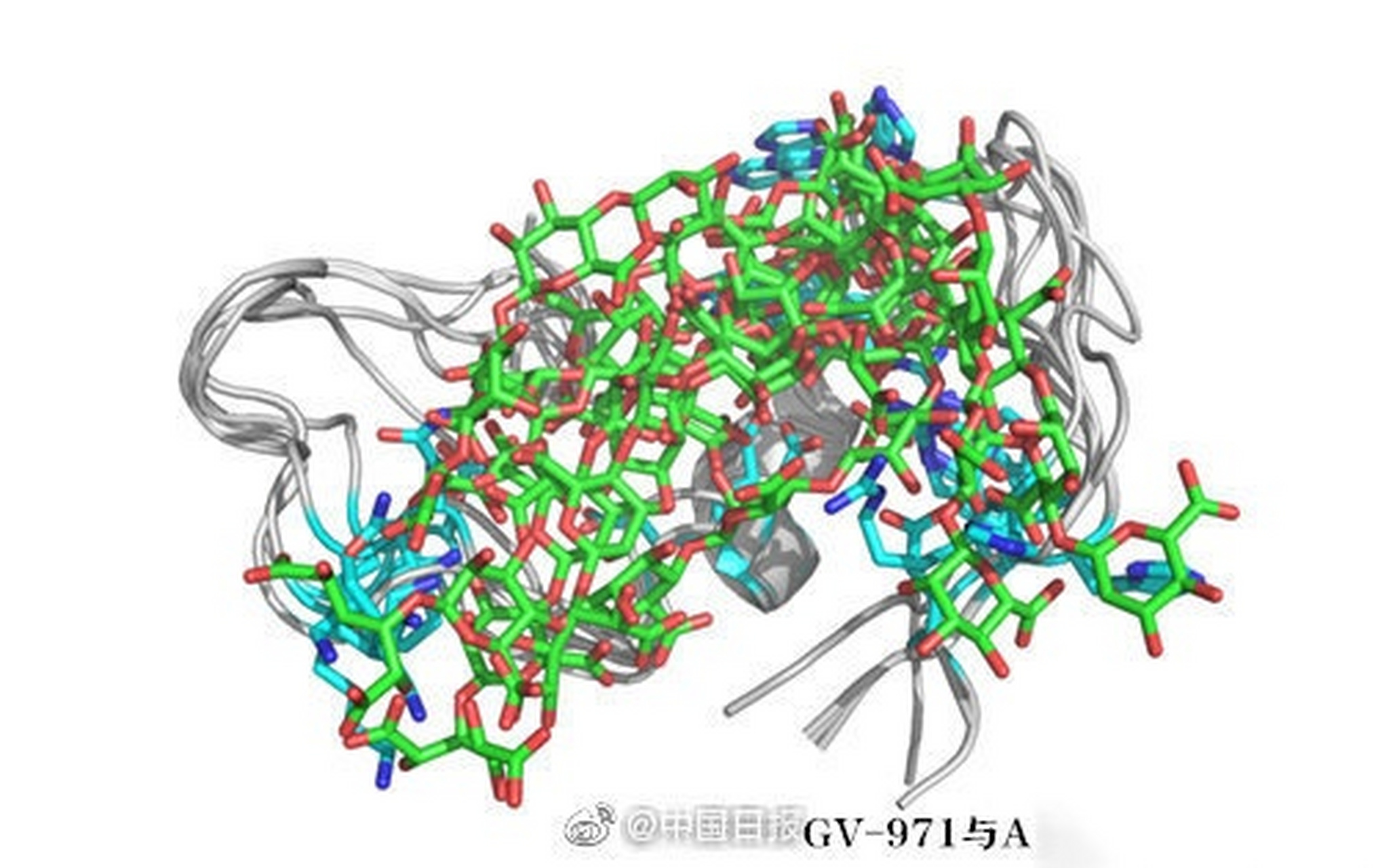 【绿谷制药董事长吕松涛:gv-971即将于11月7日投产】中国本土研制的抗