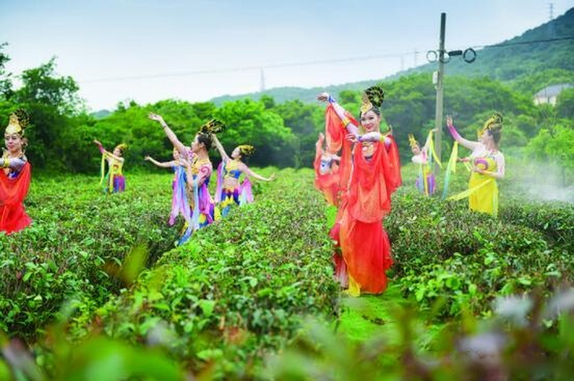 【福至普陀 緣起佛茶——第十二屆中國國際普陀佛茶文化節暨首屆