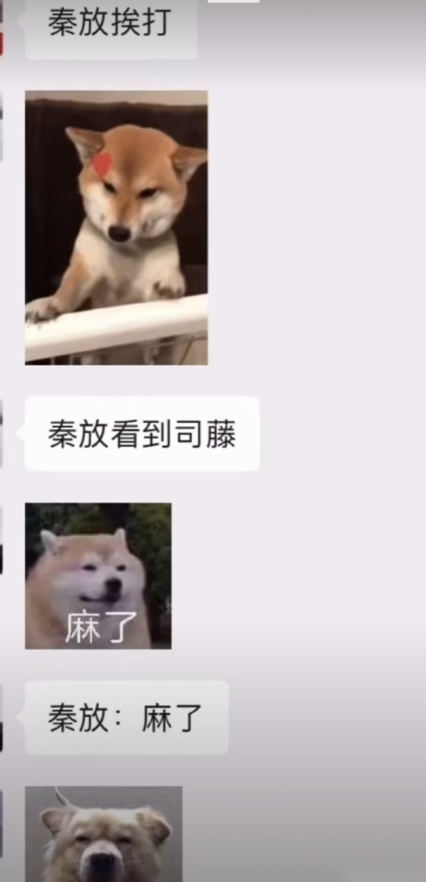 哈哈哈哈张彬彬吐槽工作人员的秦放表情包,这是人干的事儿[三哈]原来