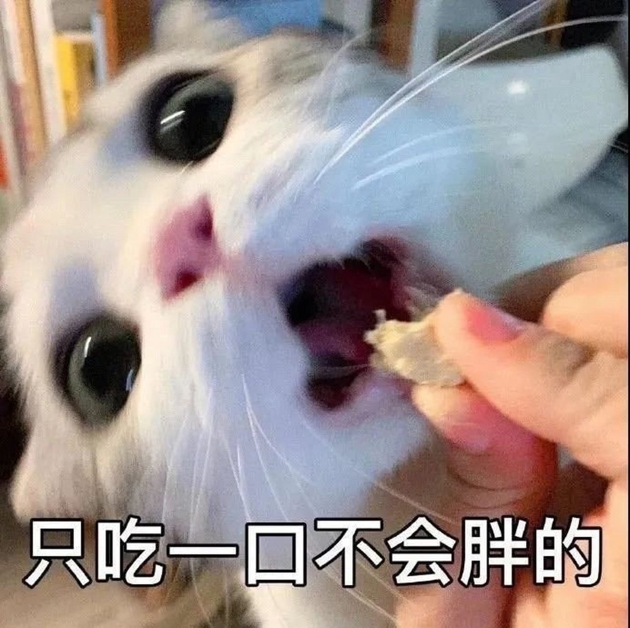 可恶表情包又来啦 #国考上岸计划##校园创作大赛