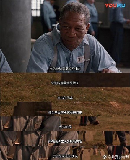 我的夏日片单,看完电影就会将梦想与救赎四个字刻