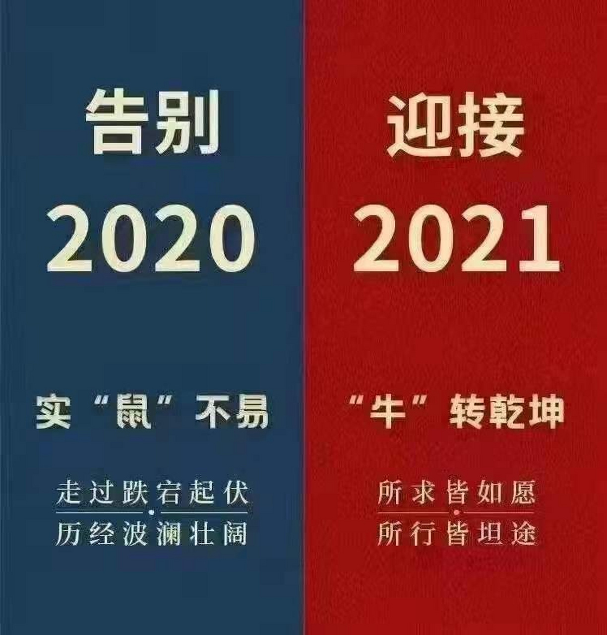 2020实"鼠"不易;2021"牛"转乾坤#中华心理学协会