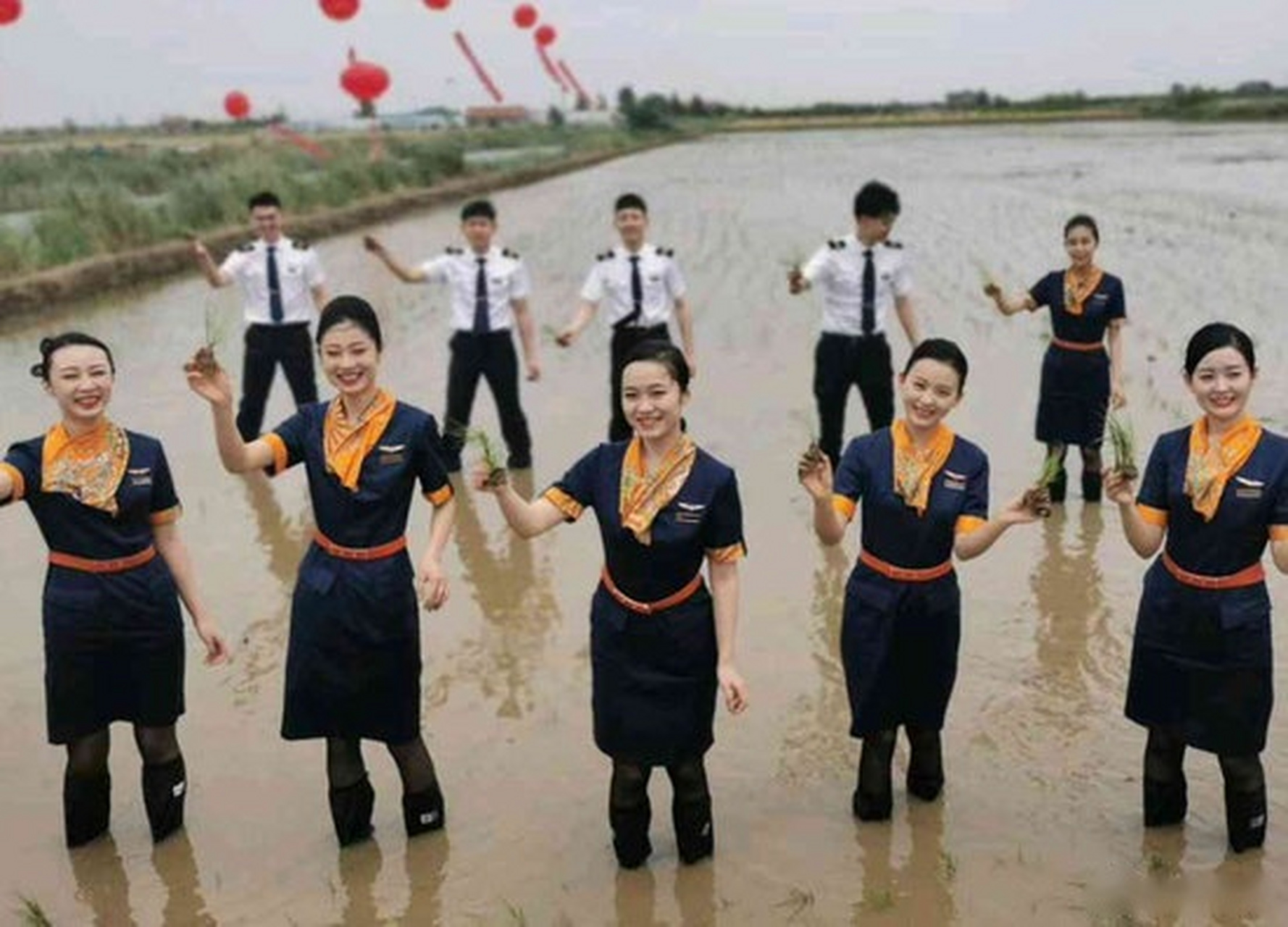 航空公司回應】6月5日,青島航空的空姐空少身穿制服,下地插秧引發熱議