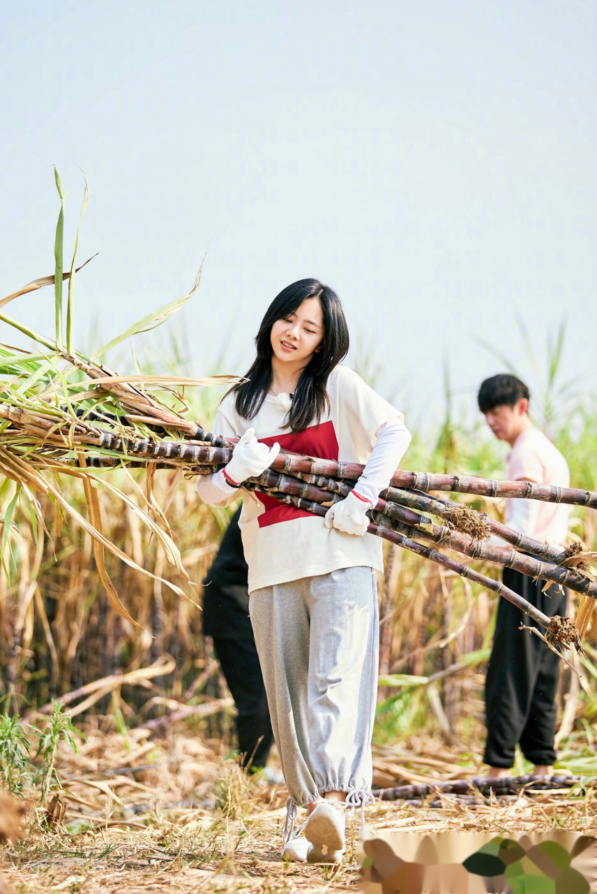 谭松韵和张子枫两个人有种岁月静好的感觉,姐姐妹妹一起采花泼水,两个