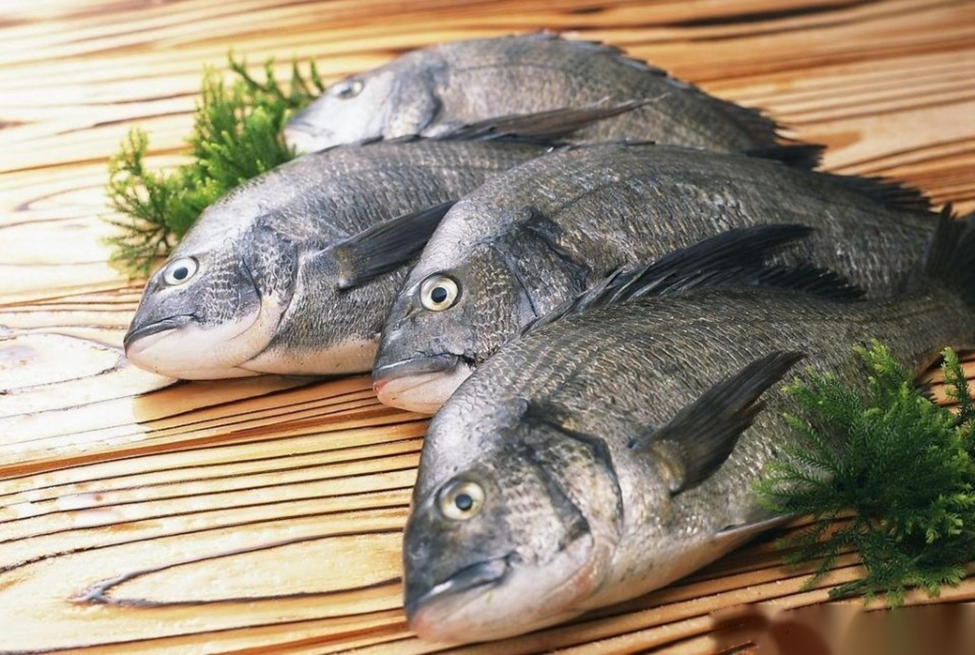 【为什么提倡大家多吃深海鱼】 与同等质量的淡水鱼相比,往往深海鱼