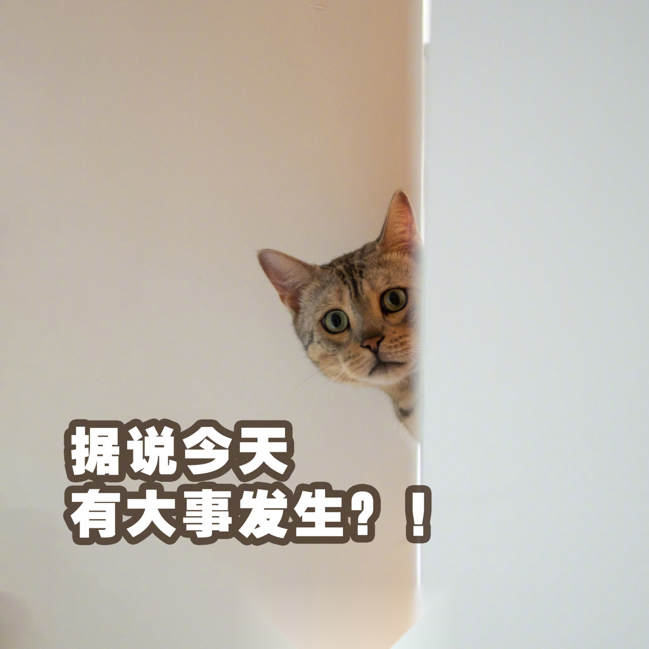 今晚有事宣布,等我.