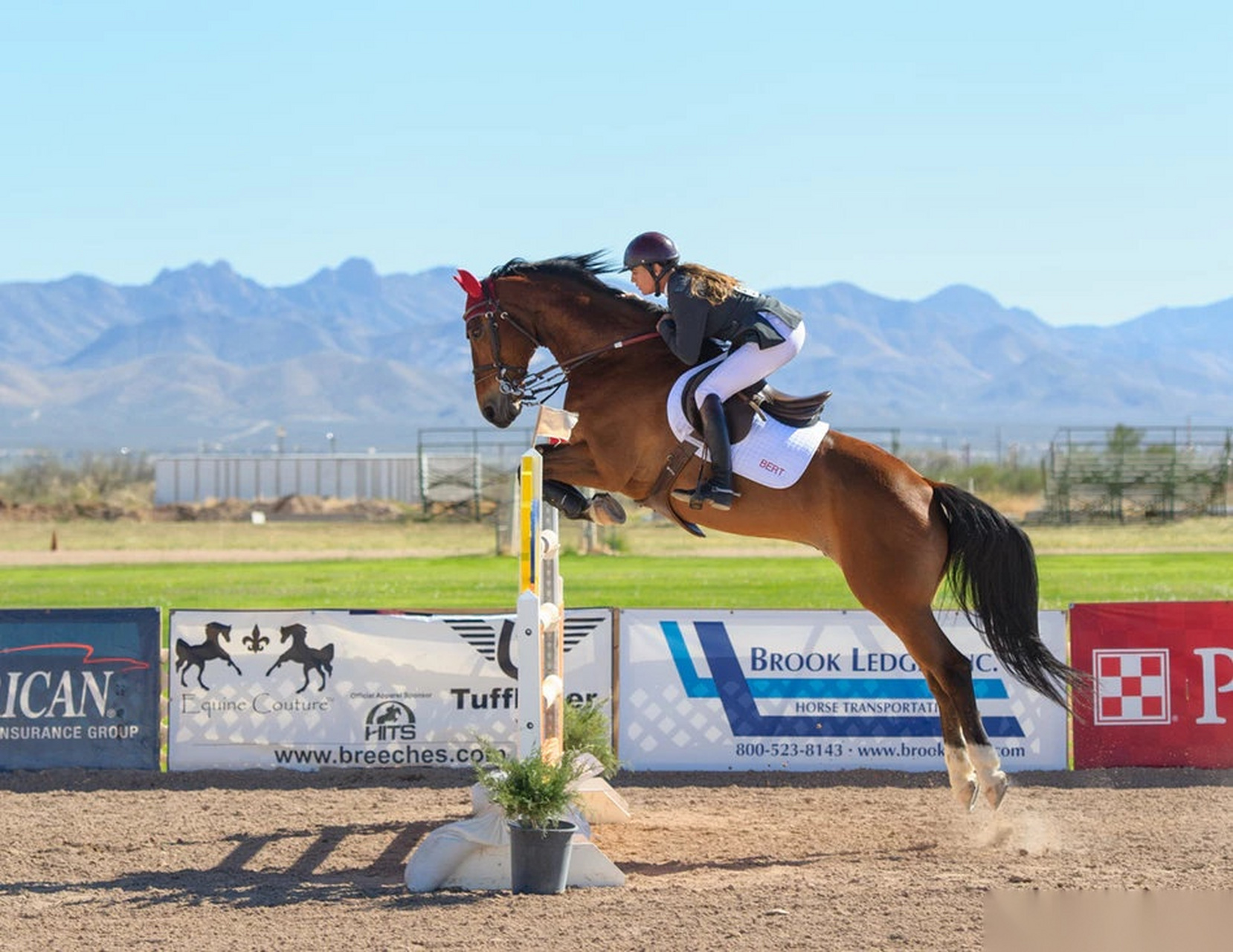 【海南赛马调研从未停止,规划已成型:是一项运动绝不是博彩】有媒体