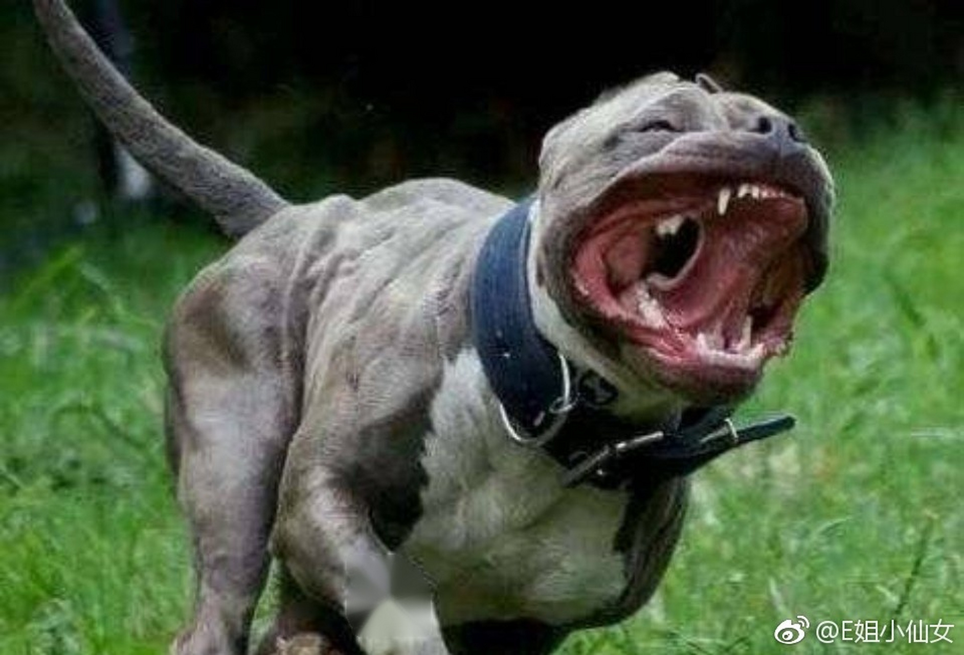 今晚夜聊话题: 分享一句你觉得完全没法理解的歌词; 花粥的歌曲