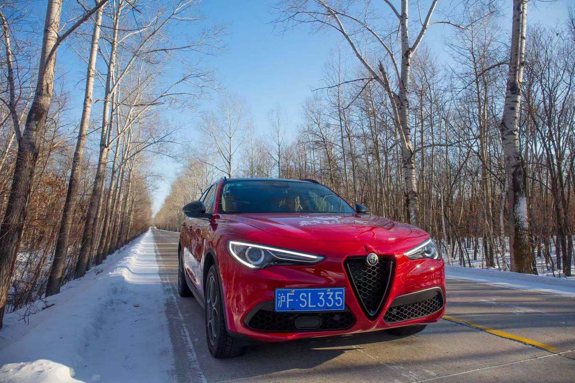 阿尔法罗密欧的牌照在国内必须上在左边,否则高速收费扫不上,还得经常