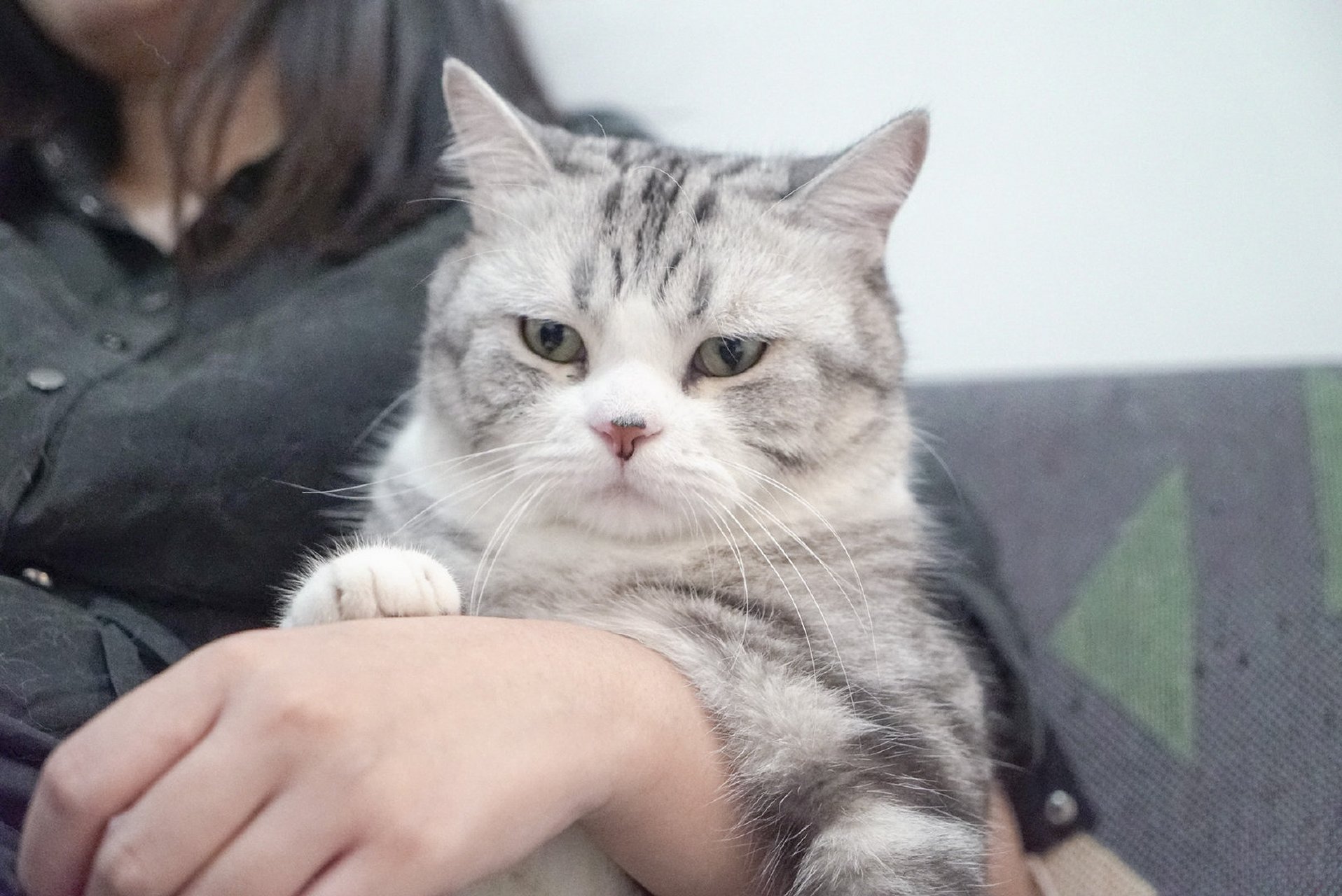 我是时尚单品小猫包吗?为什么要这么挎着我.