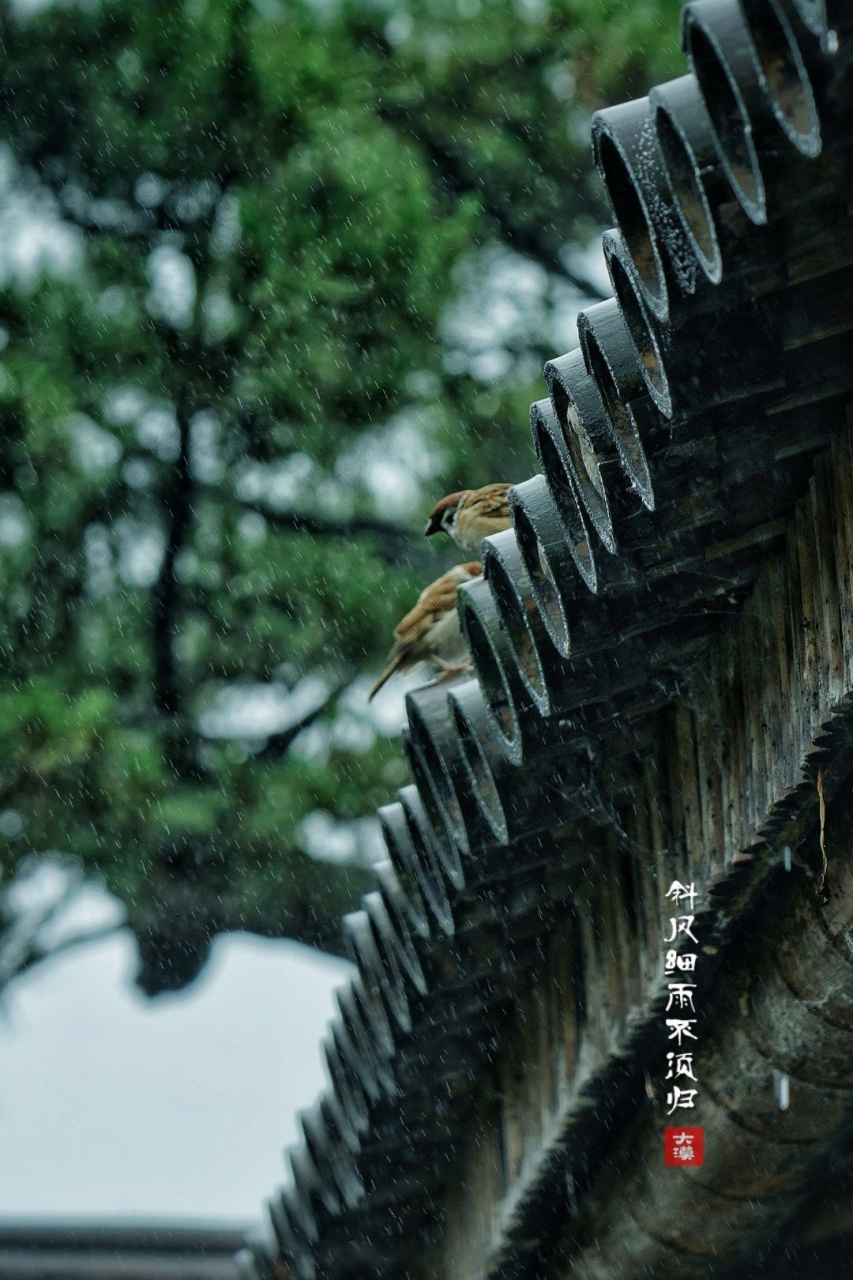 饮马江湖风萧萧