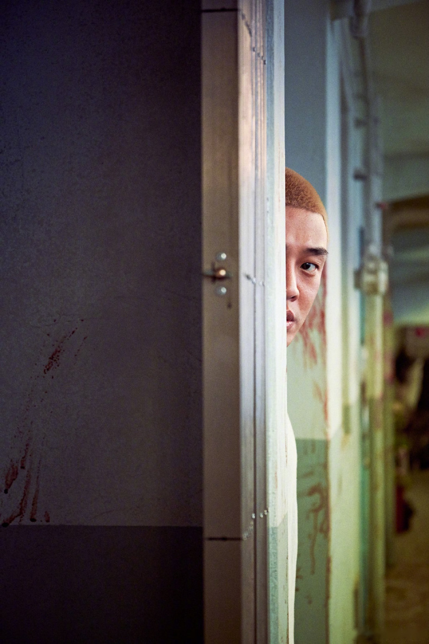 韩国丧尸电影《活着》曝光了一组刘亚仁的剧照,展现刘亚仁饰演的主角