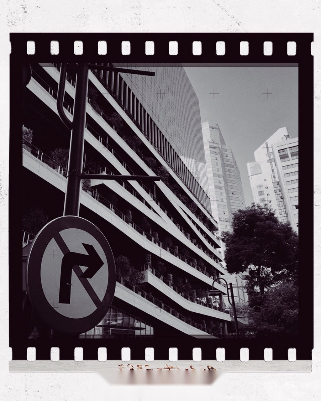 shanghaidiehard