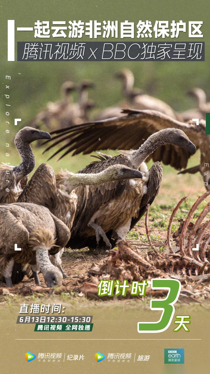bbc联合腾讯视频纪录片独家策划一起云游非洲自然保护区 直播节目