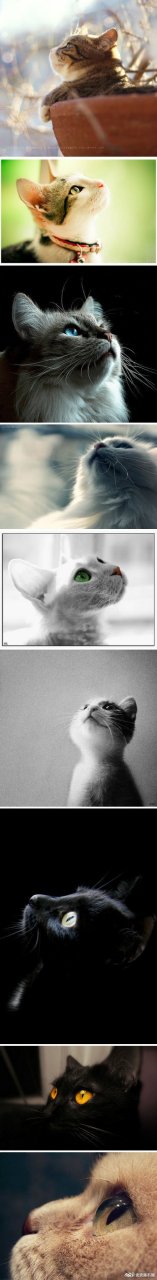 照相一定要好好利用45°角,这样才是最完美的一面