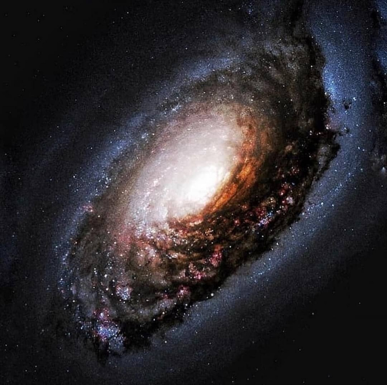 黑眼星系由英国天文学家爱德华·皮戈特于1779年3月发现,亦在同年4月