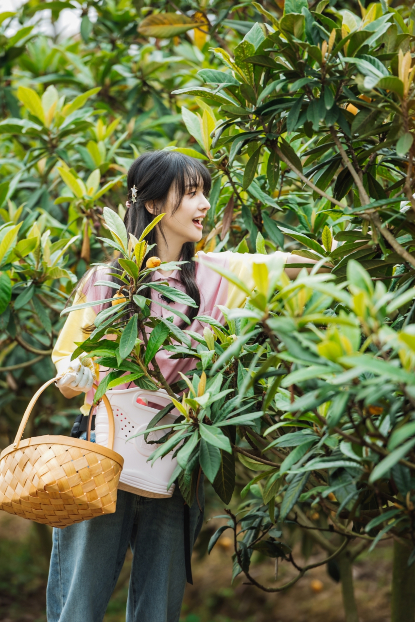 郑爽双星发夹摘枇杷的爽妹子上线啦奇妙小森林被郑爽的星星发夹给可爱