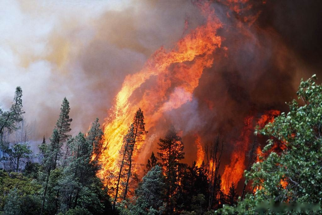 森林火灾熄灭图片