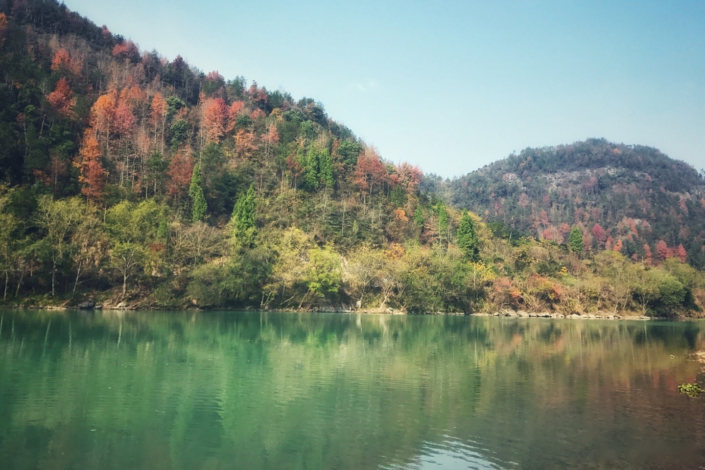 若干年前第一次聽說有個地名叫仙居,心想這地兒得仙成什麼樣啊,後來去