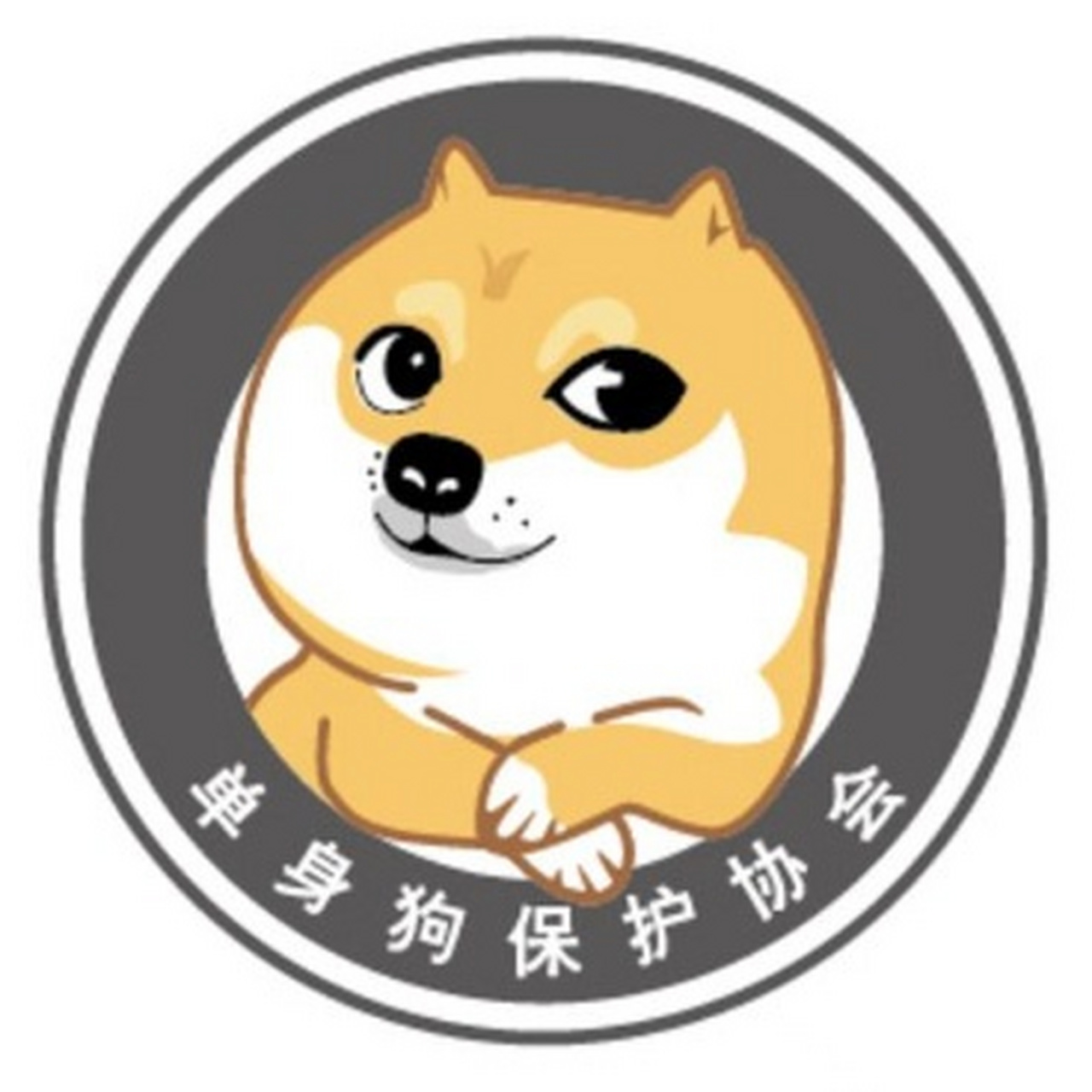 有能力不找对象的叫单身贵族,你这种叫单身狗