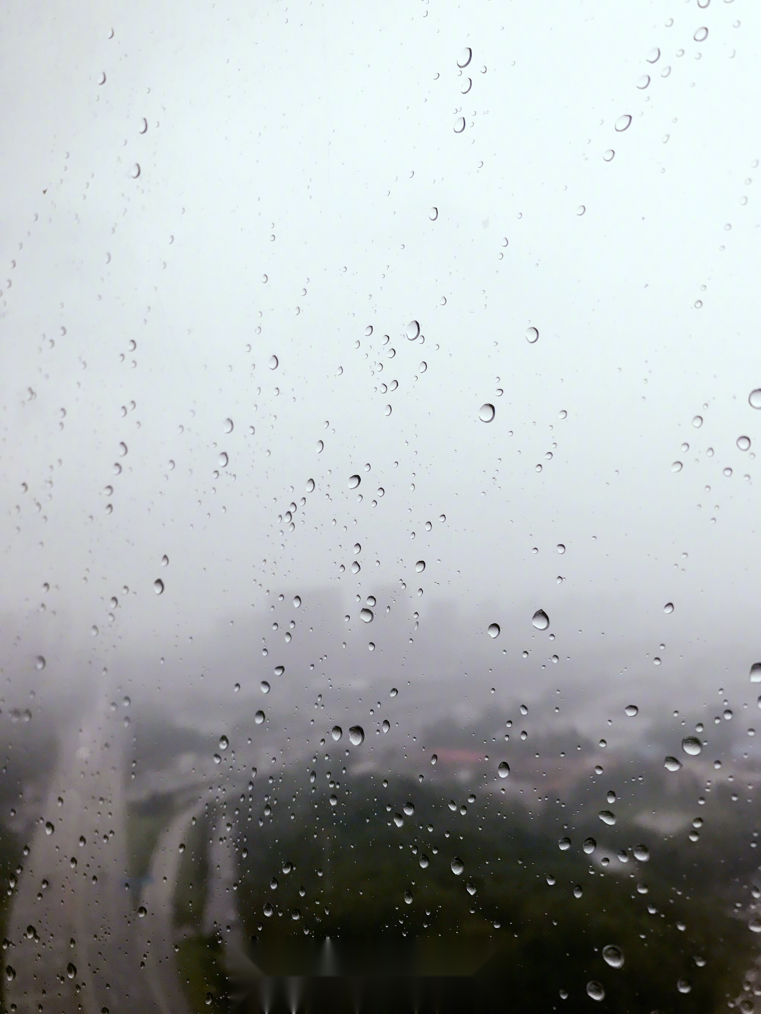 夏天的雨照片图片